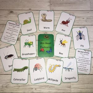 239 Mini Beast Flashcards