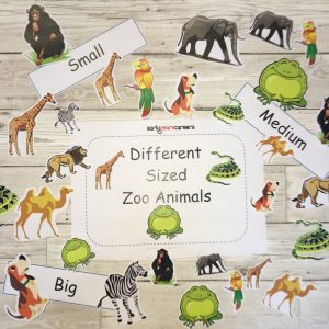 253 Different Sized Zoo Animals